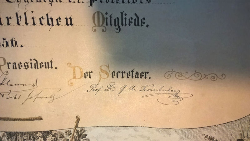 Datei:Dr-friedrich-hinterberger-verein-naturkunde-presburg-kornhuber-1-II.jpg