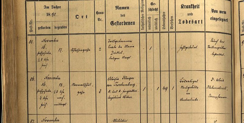 Datei:Aloisia-kluger-v-teschenberg-verst-16-11-1861-graz.jpg