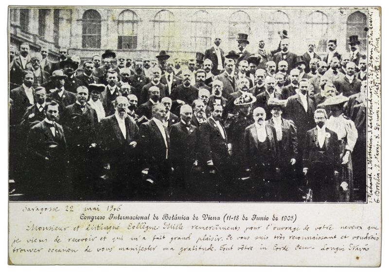 Datei:Congreso-Internacional-de-Botanica-de-Viena-11-18-de-Junio-de-1905-recto-PHAIDRA o 3523.jpg
