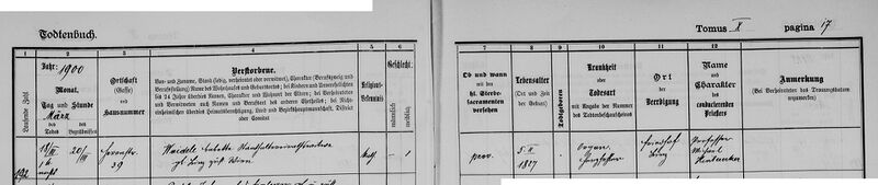 Datei:Barbara-babette-waidele-verw-lucam-verw-schmelzing-geb-hinterberger-verst-18-3-1900-Linz-Pfarre-Hl-Familie-St-Josef.JPG