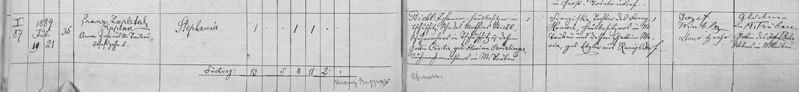 Datei:Stephania-peichl-geb-tschuschitz-1889-b.jpg